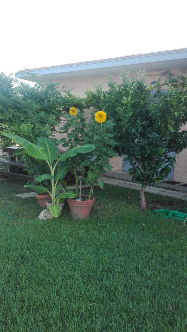 Appartamento In Villa Di Judighes Cerveteri Luaran gambar