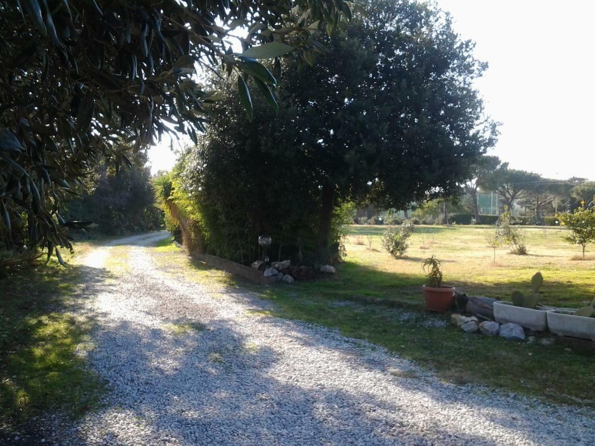 Appartamento In Villa Di Judighes Cerveteri Luaran gambar